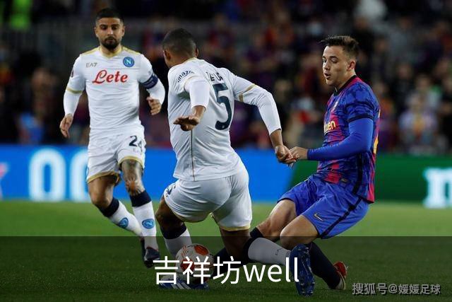 吉祥坊well公司介绍展示图