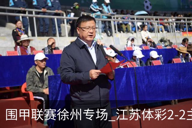 围甲联赛徐州专场 江苏体彩2-2主将负重庆坎济