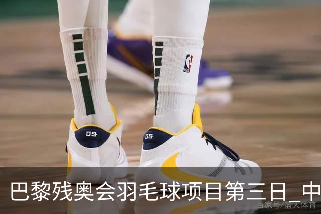 巴黎残奥会羽毛球项目第三日 中国队取得13胜3负